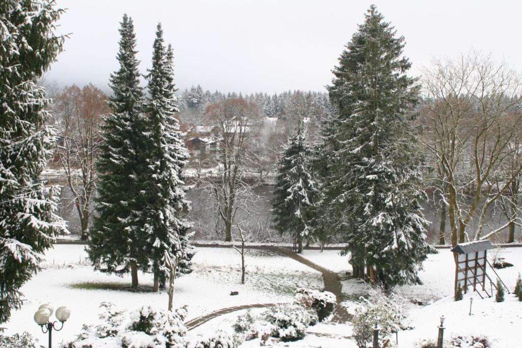 Dein Hotel - Goslar Hahnenklee المظهر الخارجي الصورة